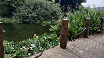 散步市民心慌慌！梅城芹洋湿地公园栈道护栏麻绳多处断裂