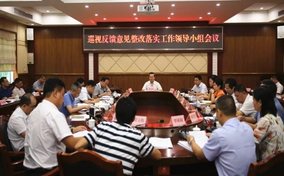 丰顺县委召开巡视反馈意见整改落实工作领导小组会议