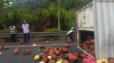 S223线申坑路段一辆载柚子货车发生侧翻 柚子散落一地...