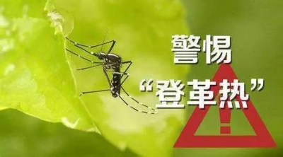 注意防控登革热！全市防治重大疾病工作联席会议召开