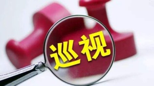 巡视反馈意见整改落实得如何？ 市领导分别召开专题汇报会听取汇报