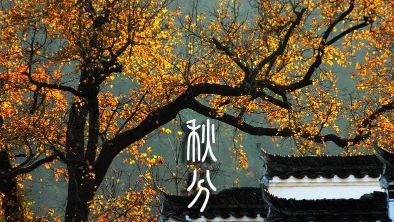 23日9时54分"秋分"，迎来首届"中国农民丰收节"