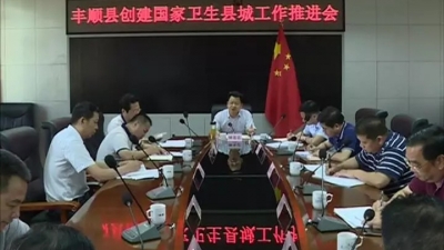 廖茂忠出席丰顺创建国家卫生县城工作推进会