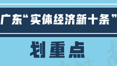  广东“实体经济新十条”政企面对面：降税负
