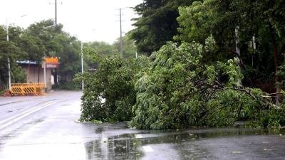 受台风“山竹”影响，丰顺大量路树倒伏 多地停电