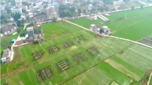 理论丨乡村振兴需注重的“五个环节”