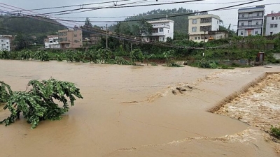 “山竹”凶猛！梅州转移5351人，目前无人员伤亡