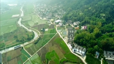 梅县：四大特色产业组团激活乡村全域振兴新活力