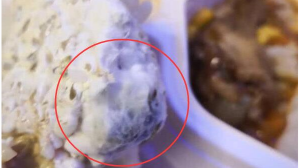 国务院督查组关注"高铁盒饭霉变"事件 常温链盒饭将停用