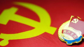 挂点包片！基层党建工作，市委组织部这样开展