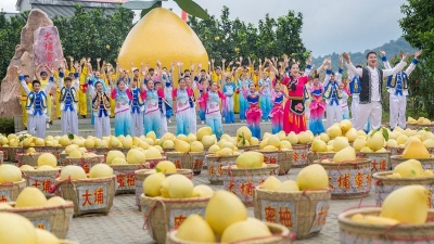 万众期待！“中国农民丰收节”大埔分会场所有拍摄完成
