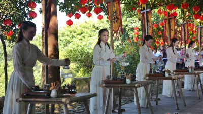 互动+特色！丰收节雁南飞茶园分会场进行节目录制