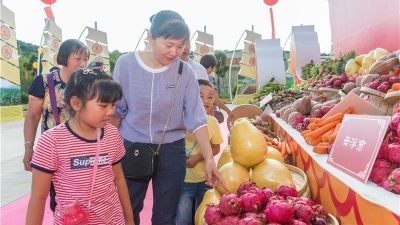 大黄村成了“网红地”！丰收广场展馆免费开放至10月8日