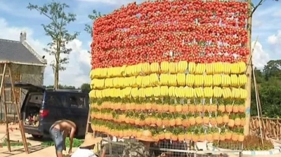 准备迎接盛会！丰收节主会场和展馆建设基本完成