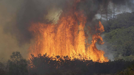 五华一老人引发森林火灾，过火面积达552亩，点火原因令人咋舌