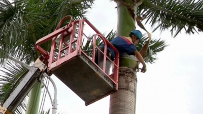 梅县住建、城综：防台风保安全，巡查工作不松懈！