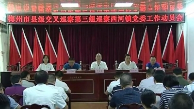 梅州市县级交叉巡察第三组进驻大埔县西河镇、县林业局