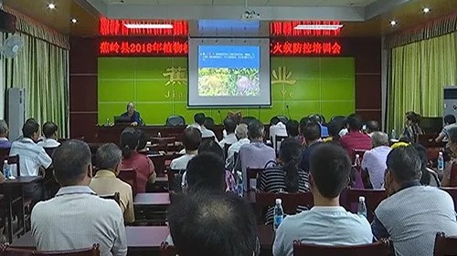 蕉岭县举办红火蚁防控培训会 提高红火蚁防治效果