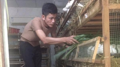 90后揭阳小伙大埔创业当“豚鼠王”，年收入可达10万余元