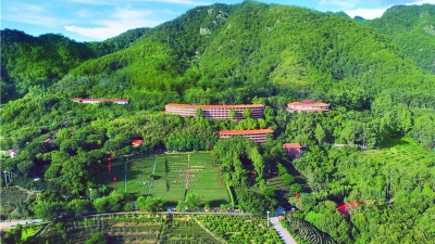 雁南飞：梅州旅游行业“领头雁”