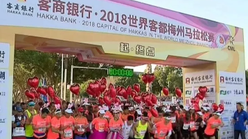 梅县区：发挥好“梅马”效应 推动高质量发展