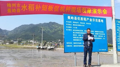 奏响现代农业新篇章！蕉岭将建丝苗米产业园 