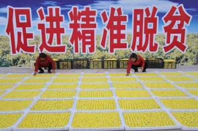 联合国粮农组织称赞中国减贫：短时间内大幅减少饥饿人口
