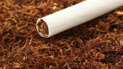 市烟草专卖局到梅县调研：让贫困群众得到真正的实惠