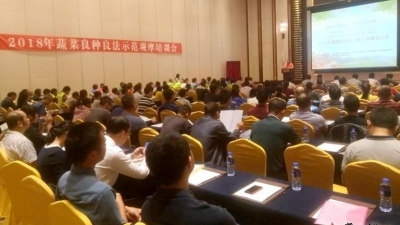 我市举行2018年蔬菜良种良法示范观摩培训会