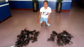 顺手牵羊？五华两男子窃工地脚手架扣，结果悲剧啦…