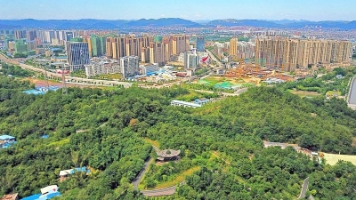 美丽梅州新闻摄影大赛丨城市绿意浓 生态景色美