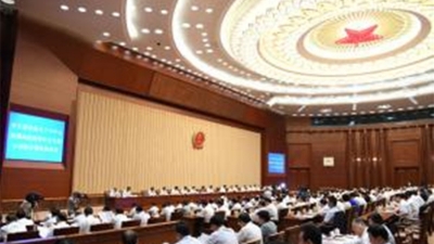 “两院”组织法三审：副手任职条件或放宽，强调群众监督