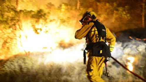 别“玩火”！梅江区森林防火禁火令发布，这些事都不能做...