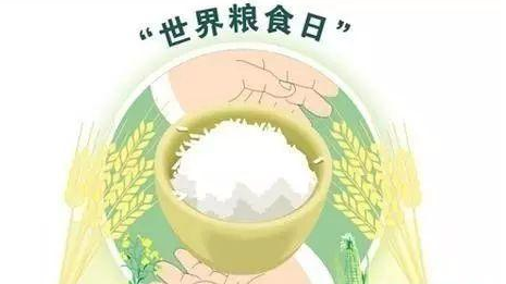 爱粮节粮！我市开展世界粮食日系列宣传活动