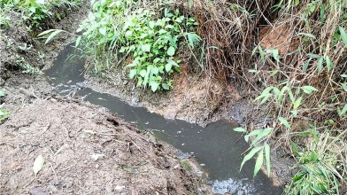 太糟心了！梅县区南口这条河臭味熏天，污染严重...