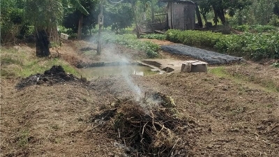 无看管就地焚烧杂草，烟雾弥漫...地点：梅城中高峰