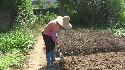 以“制度”聚力“大扶贫”格局，蕉岭脱贫攻坚成效显现