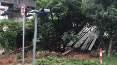 长沙镇小密村：抓好“三清三拆三整治”推进美丽乡村建设