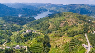 美丽梅州新闻摄影大赛丨生态八乡山 初秋美如画