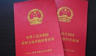已颁发逾83万本土地“身份证”！梅州土地确权工作基本完成