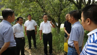 曾永祥廖茂忠率队到丰顺汤坑调研乡村建设工作