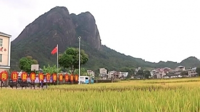 风吹稻香！平远这个地方的秋景像画卷一样美…