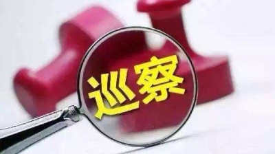 市委巡察组向市公安局党委反馈巡察情况，存在的主要问题是…