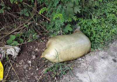 辣评丨病死禽畜“后事”料理不是小事