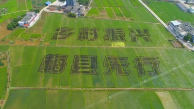 揽金7.38亿！国庆黄金周梅县区乡村游受青睐