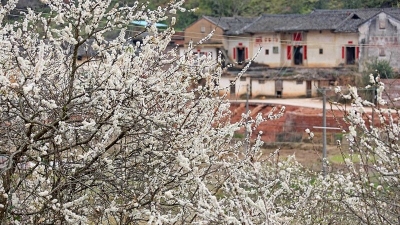 美哭了！兴宁径南镇东升村入选“中国美丽休闲乡村”