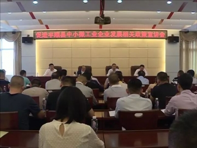 丰顺召开促进中小微工业企业发展相关政策宣讲会