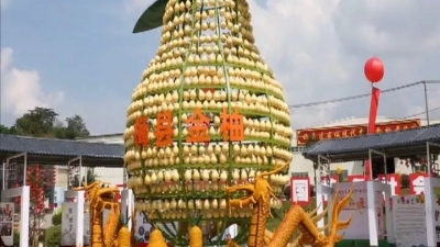 借盛会之势 擦亮农业品牌！梅县开启乡村振兴新篇章