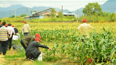 省钱省力又省工！平远县这项技术，让农业也“智能化”起来啦