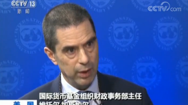 IMF财政事务部主任：中国财政有能力应对贸易摩擦